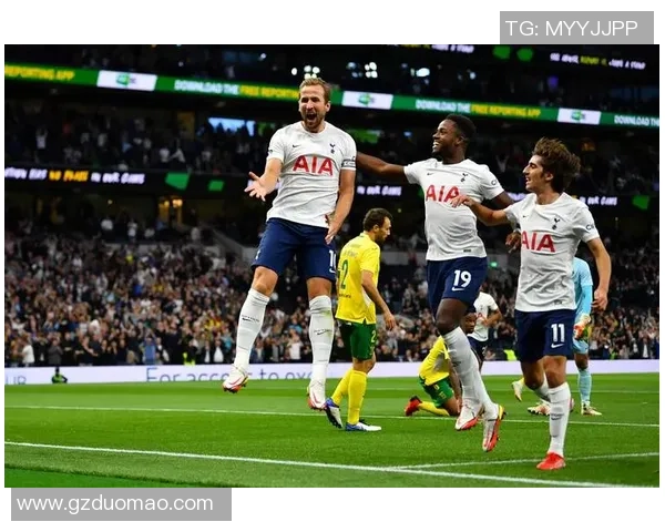 2019年热刺与西布朗激战回顾：精彩瞬间与战术分析