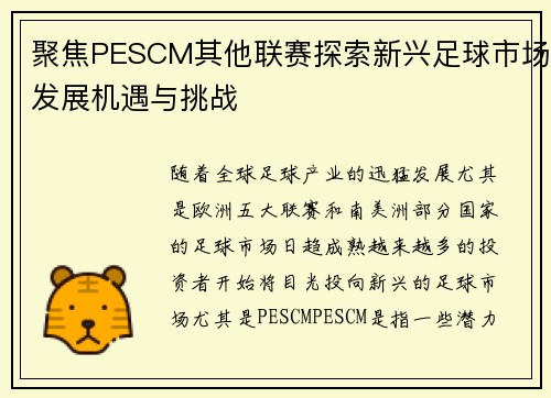 聚焦PESCM其他联赛探索新兴足球市场发展机遇与挑战
