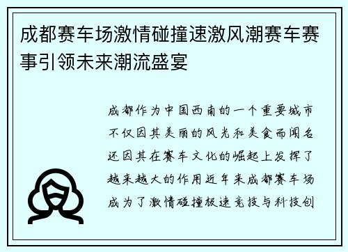 成都赛车场激情碰撞速激风潮赛车赛事引领未来潮流盛宴